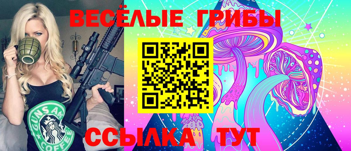 Псилоцибиновые грибы прущие грибы  Вход с VPN  Шали 