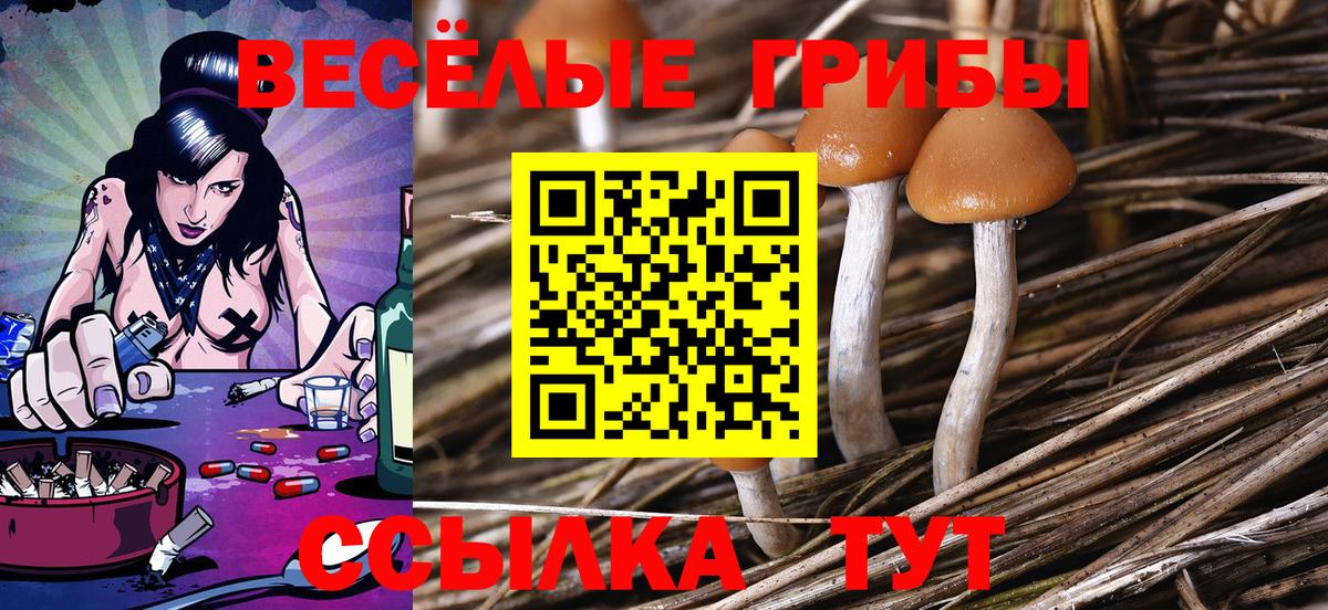 Псилоцибиновые грибы Psilocybe Шали